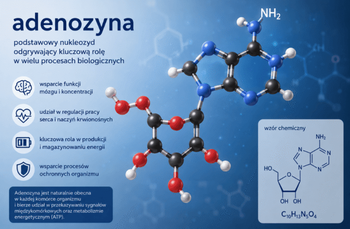 Adenozyna