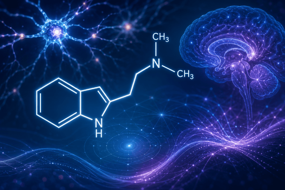 DMT