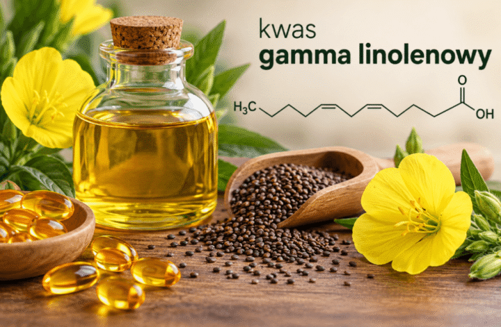 kwas gamma linolenowy